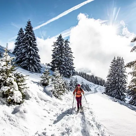 Appartamento Alpenlake Ap110 & Nature 4 Pers *